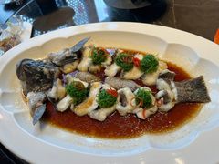 -海派悦庭·海胆烧麦·新融合菜(凯德广场店)