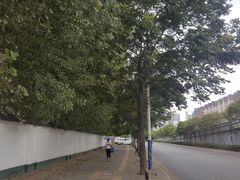 -华夏文旅西安度假区