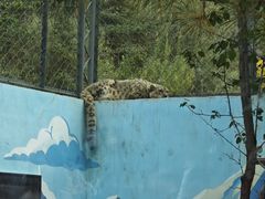 -青藏高原野生动物园