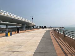 -演武大桥观景平台