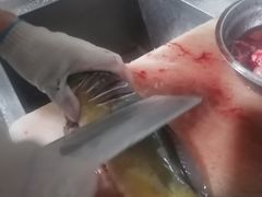 -老字号怡玺·藿香雅鱼(20年雅安店)