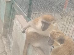 -无锡动物园·太湖欢乐园
