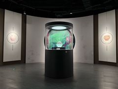 -四川宋瓷博物馆