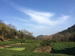 -午潮山国家森林公园