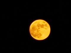 -星汇纯K量贩式KTV(卜蜂中心店)