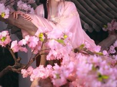 -盘子女人坊(西安至尊店)