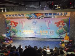 -成都浩海立方海洋公园