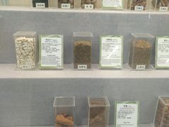 -北京中医药大学-中医药博物馆
