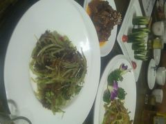 android_upload_pic-老茶树骊园生态川菜馆