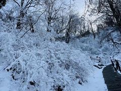 -终南山国家森林公园