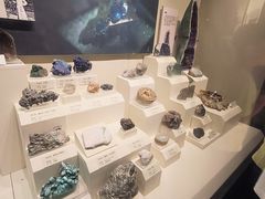 -天津自然博物馆