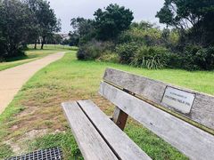 -沃森湾