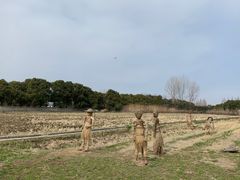 -嘉北郊野公园