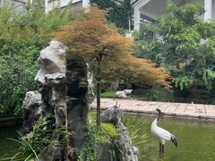 -广富林宰相府酒店·水云间