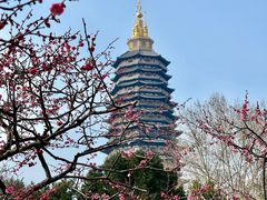 -红梅公园