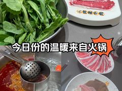 -岭南站NOVA