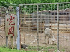 -北京山里寒舍度假酒店
