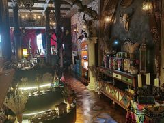 -雪灵魔法世界SHELLY’S TAROT(大良桂畔里店)