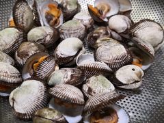 黄蚬-船梆煮•蒸汽海鲜·炉火烤肉(五四广场店)