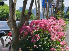 -近江(地铁站)