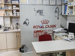 -乐琪宠物医院·犬猫专科·骨外科·急重症