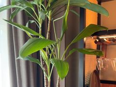 -满堂匠心川宴·私房菜(天府三街店)