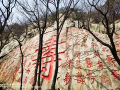 -沂蒙山旅游区龟蒙景区