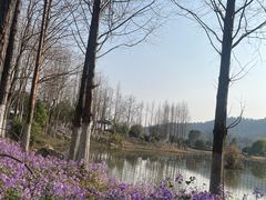 -径山花海