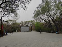 -北陵公园