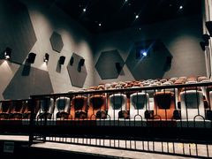 -星河寰宇IMAX影城(星河WORLD·COCO Park店)