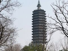 -西海子公园