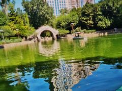 -团结湖公园