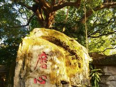 -船政文化景区-罗星塔公园