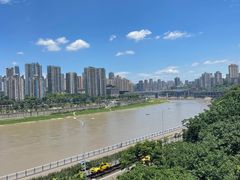 -李子坝梁山鸡(李子坝大鸡哥店)