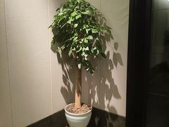-萬國春·中菜馆(颐和公馆店)