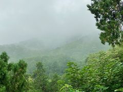 -香山公园