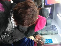 -宫廷糕点铺