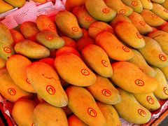 芒果-红星农博物流中心