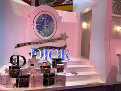 -Dior迪奥(上海世茂广场店)