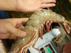 -ZF Seafood Restaurant 卓峰海鲜餐