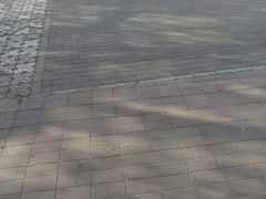 -北京华联购物中心(天通苑店)