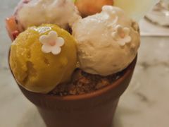 -哈根达斯(济南万象城店)