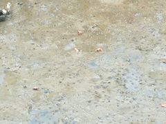 -北海金海湾红树林生态旅游区