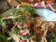 芝士炸鸡沙拉-梦山水日本烧肉(五四广场店)