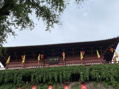 -杭州宋城