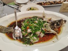 -圣爵菲斯大酒店(长沙世界之窗店)