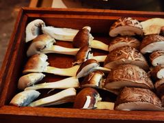 -二刀潮牛(重庆光环购物公园店)