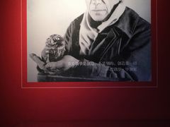 -西安唐皇城墙含光门遗址博物馆