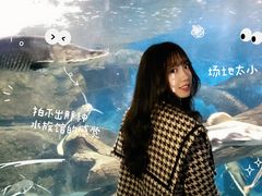 -泉州海丝野生动物世界