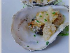 -Oyster Talks 四度蚝法餐厅